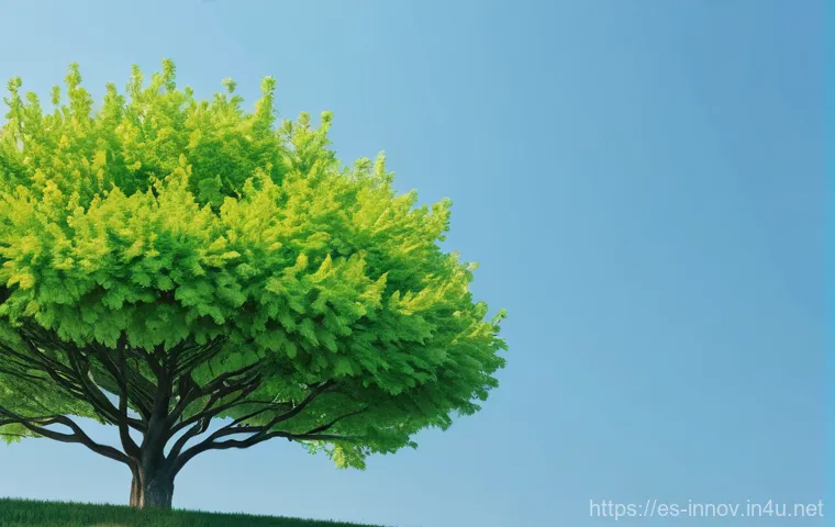 혁신경영과 리스크 관리 시스템 관련 이미지 1